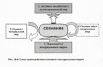 Политическое Сознание